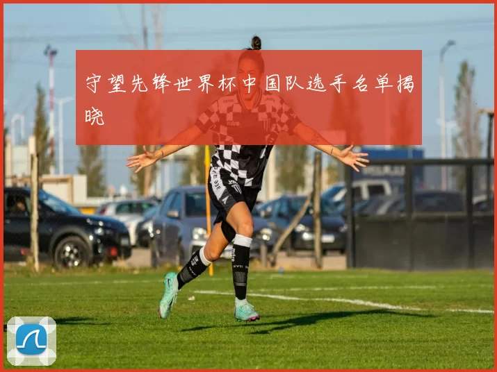 守望先锋世界杯中国队选手名单揭晓