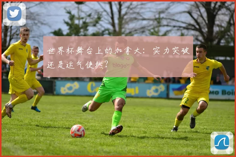 世界杯舞台上的加拿大:实力突破还是运气使然?