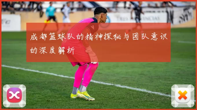 成都篮球队的精神探秘与团队意识的深度解析