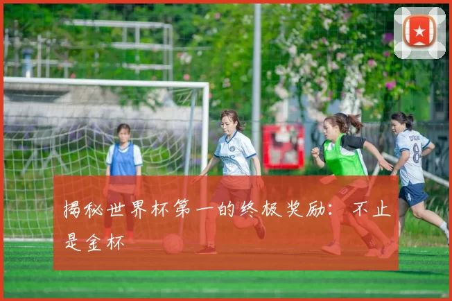 揭秘世界杯第一的终极奖励:不止是金杯