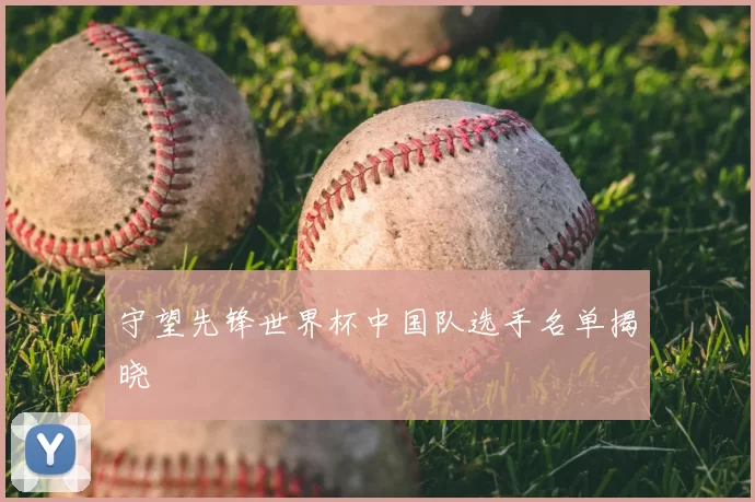 守望先锋世界杯中国队选手名单揭晓