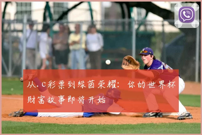 从.c彩票到绿茵荣耀:你的世界杯财富故事即将开始