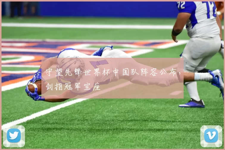 守望先锋世界杯中国队阵容公布,剑指冠军宝座