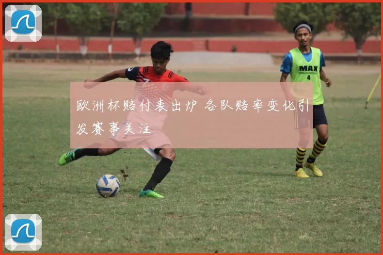 欧洲杯赔付表出炉 各队赔率变化引发赛事关注