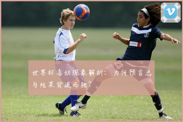 世界杯毒奶现象解析:为何预言总与结果背道而驰?