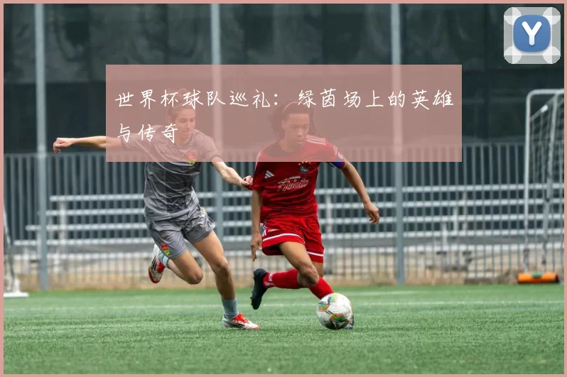 世界杯球队巡礼:绿茵场上的英雄与传奇