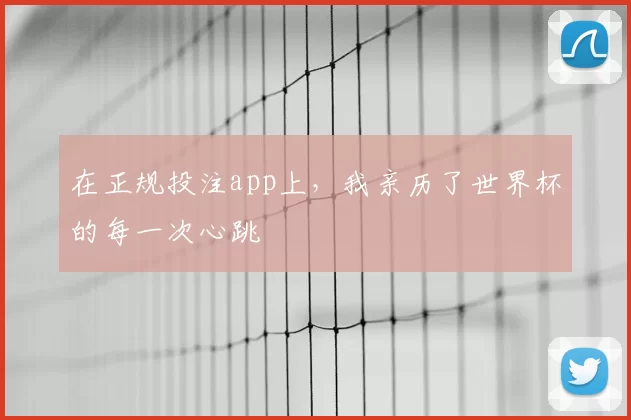 在正规投注app上,我亲历了世界杯的每一次心跳