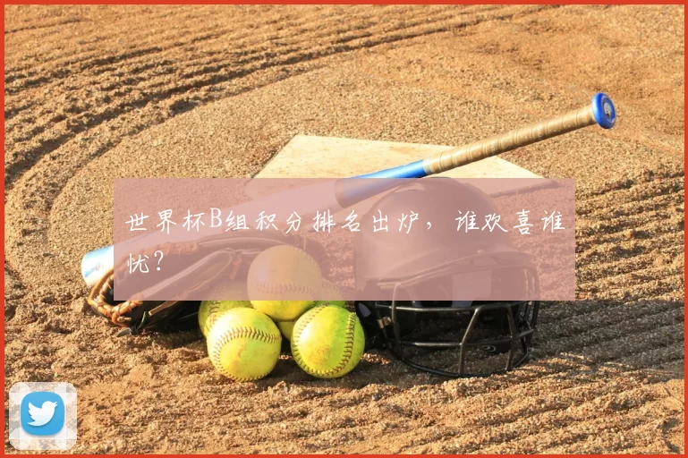 世界杯B组积分排名出炉,谁欢喜谁忧?