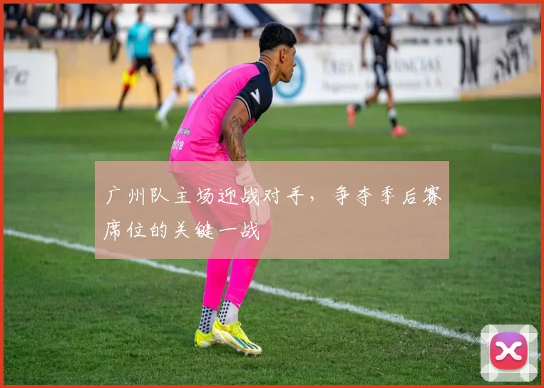 广州队主场迎战对手，争夺季后赛席位的关键一战