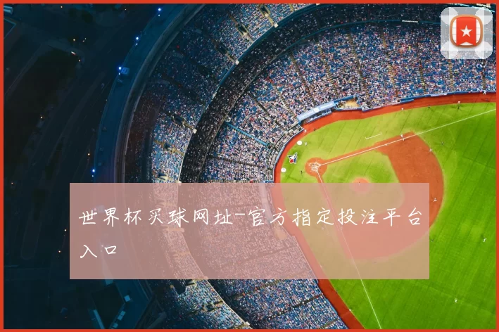 世界杯买球网址-官方指定投注平台入口