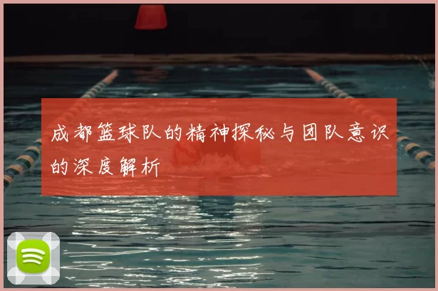 成都篮球队的精神探秘与团队意识的深度解析