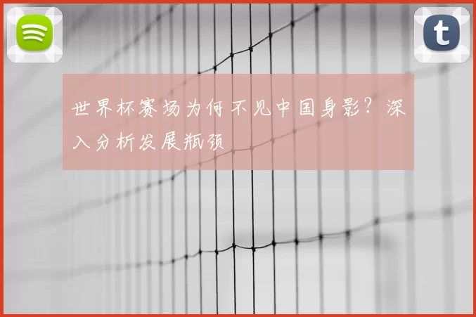 世界杯赛场为何不见中国身影？深入分析发展瓶颈