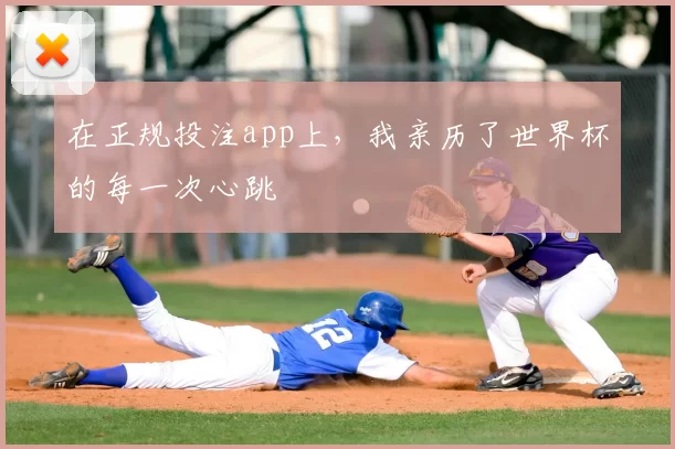 在正规投注app上，我亲历了世界杯的每一次心跳