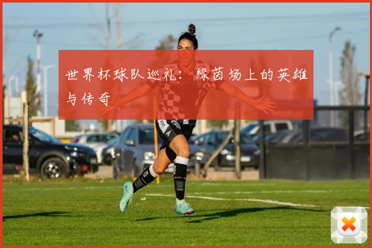 世界杯球队巡礼:绿茵场上的英雄与传奇
