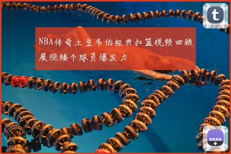 NBA传奇土豆韦伯经典扣篮视频回顾展现矮个球员爆发力